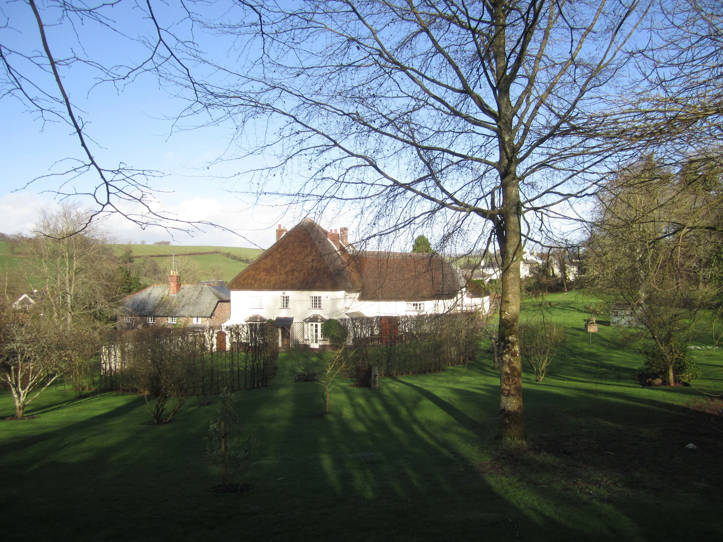 About — COURT GREEN