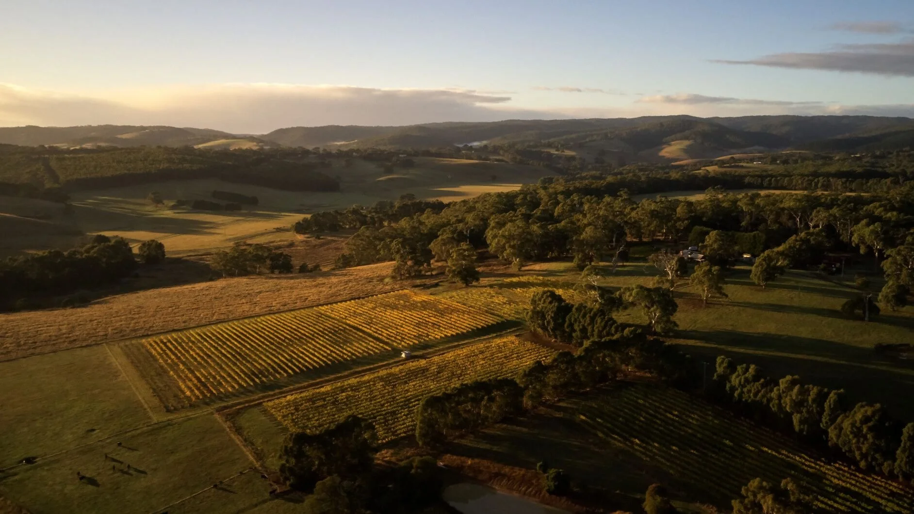 Press release: ‘A Decade of Refinement – 10 Years of honing in the Otway Hinterland’