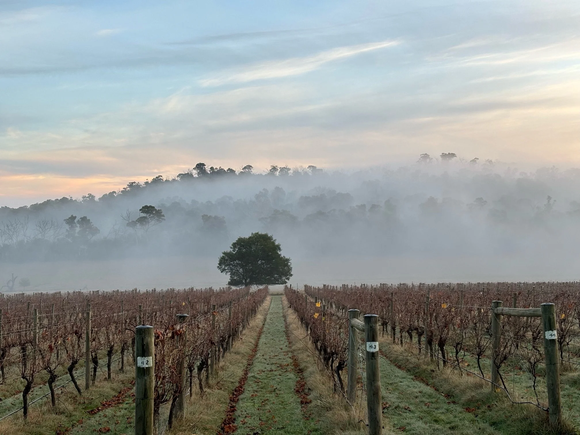 Press Release: ‘First Sustainable Winegrowing Australia Certified Vineyard In Macedon Ranges’