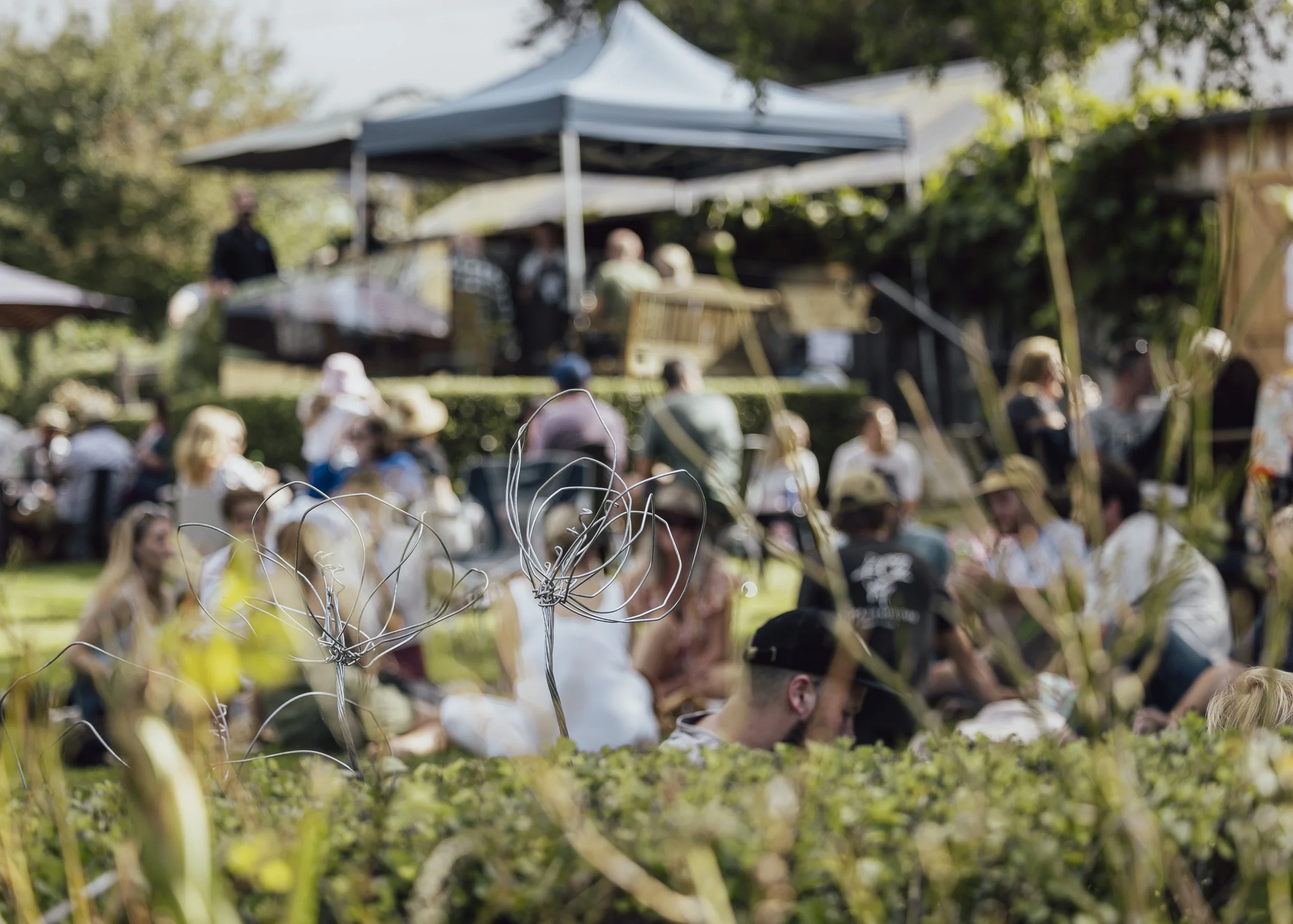 Press Release: ‘Discover Tasmania’s Southern Open Vineyards’ 
