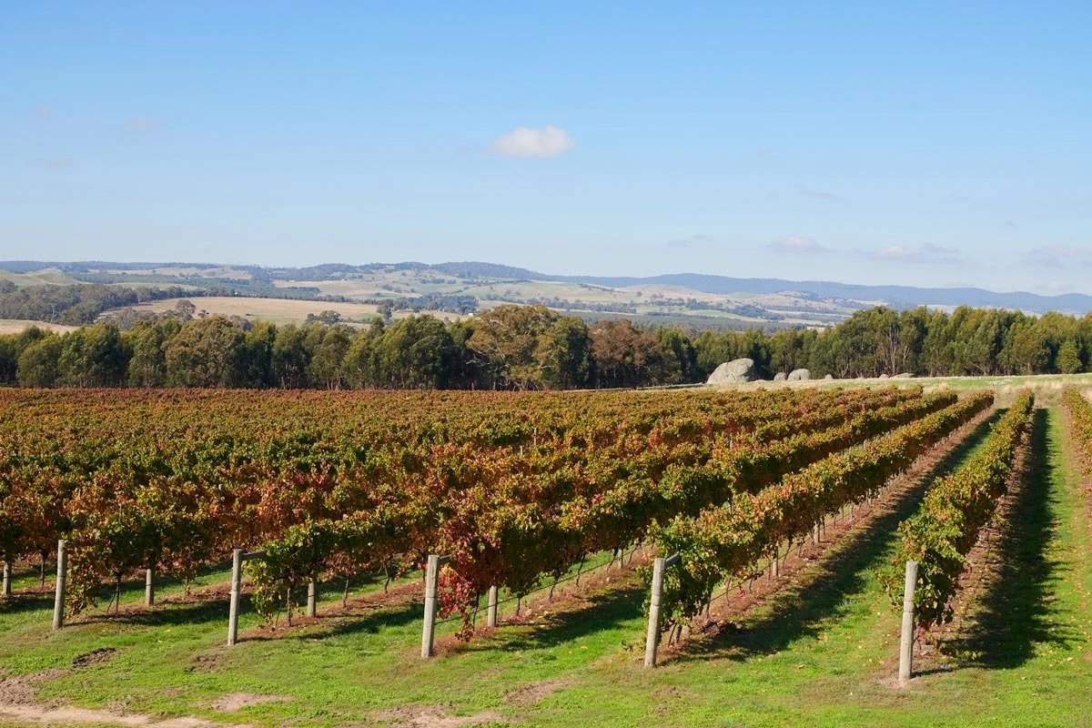 Press Release: ‘Inaugural Vintage Release’
