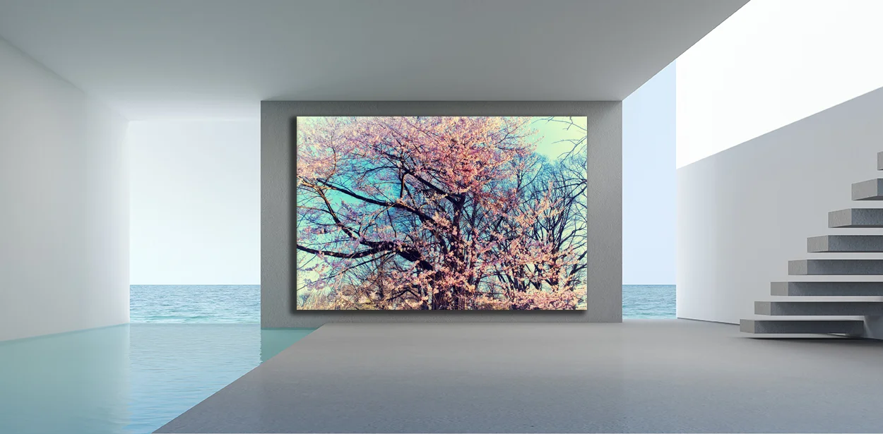 Tree5 Home web.jpg