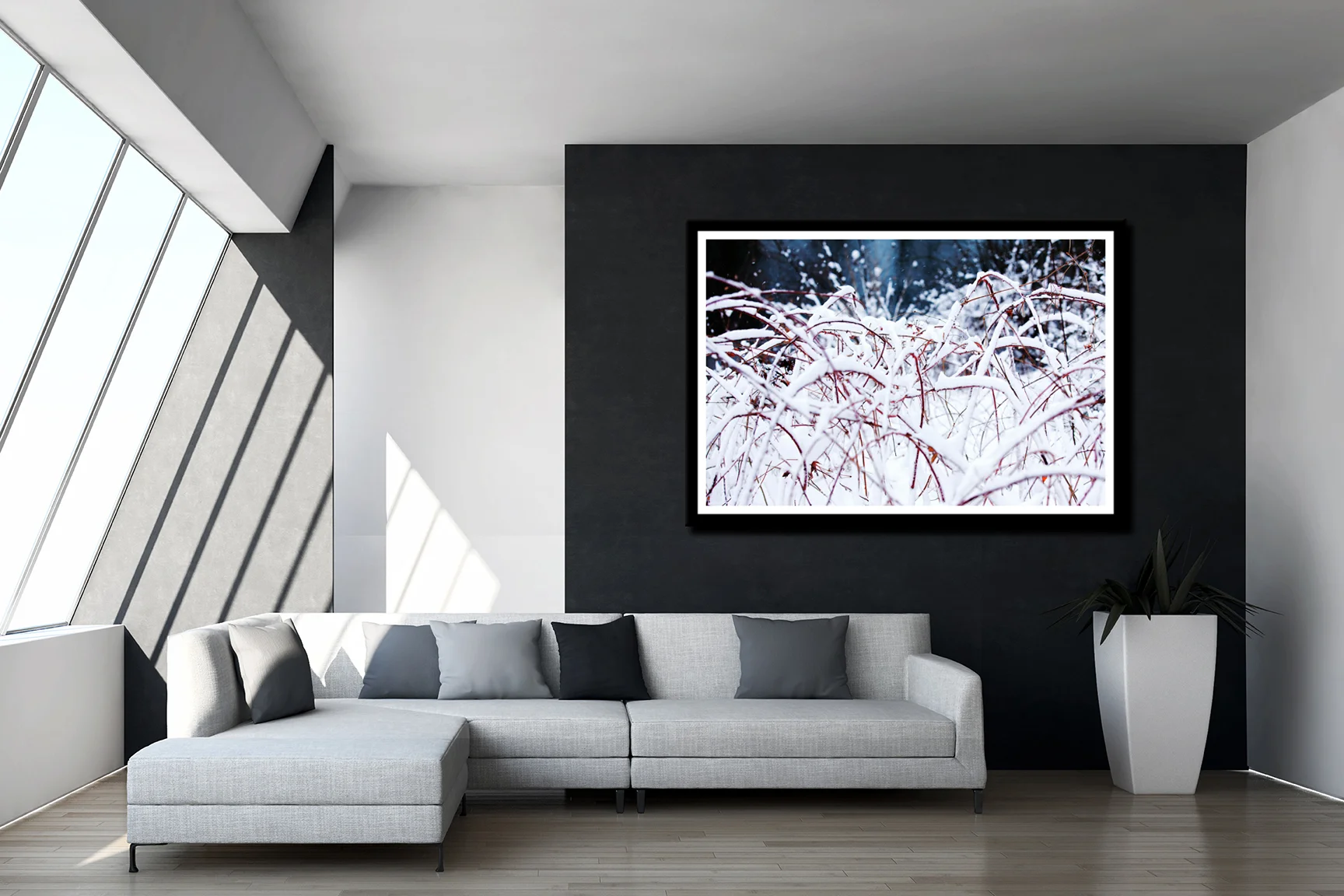 Snowed Branches Framed C Apt3 web.jpg