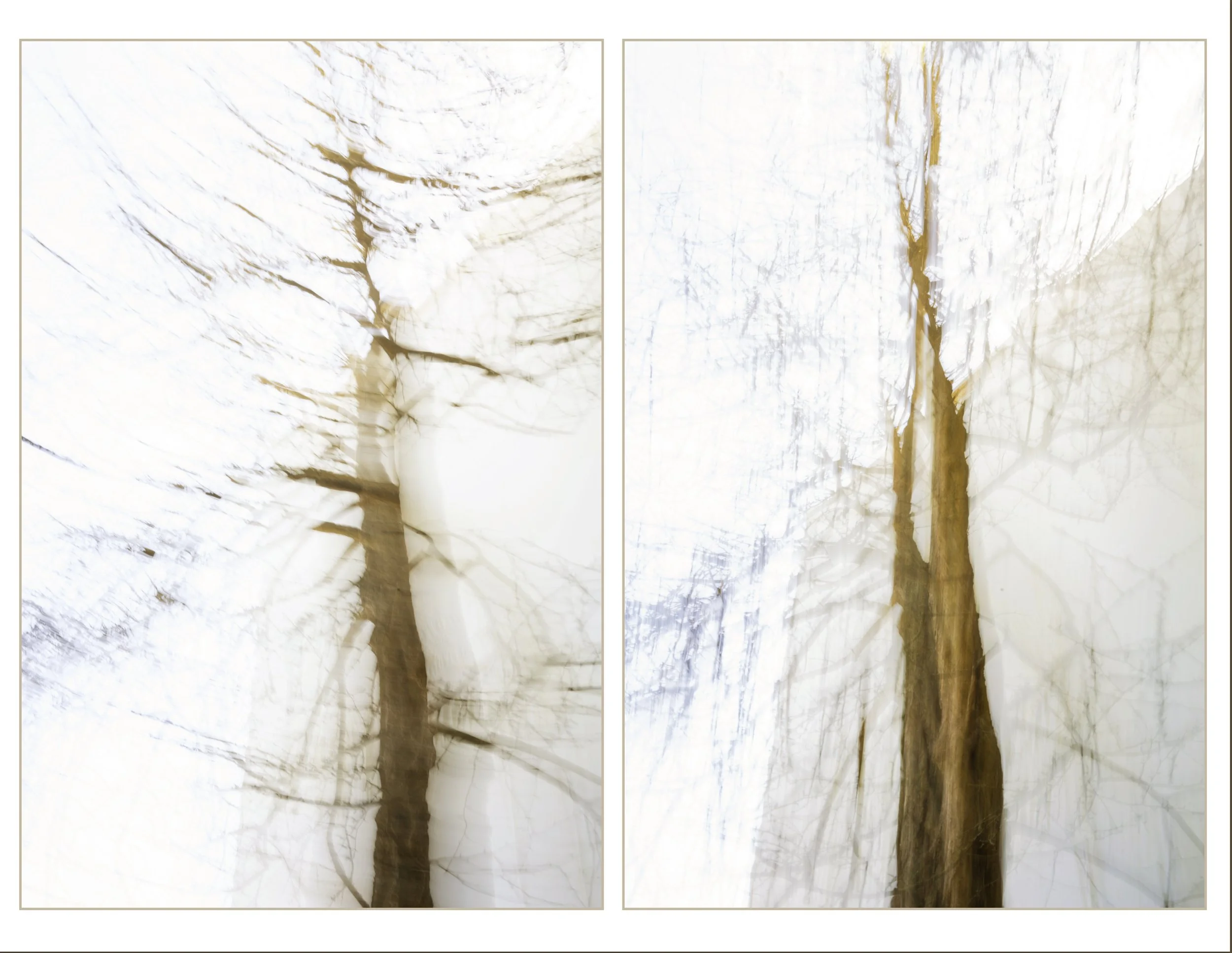 diptych_trees copy.jpg