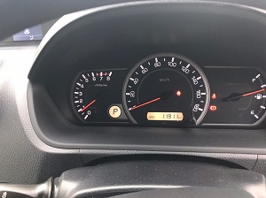 noah-speedo.jpg