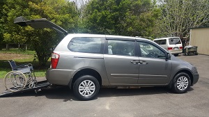 kiacarnival-hire.jpg