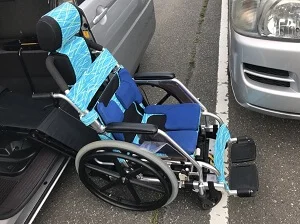 toyota-porte-wheelchair-out.jpg