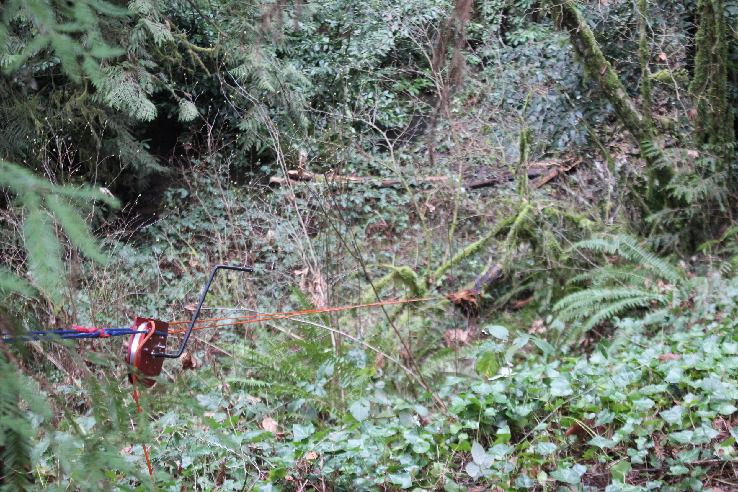 Manual Winch Skidding Log