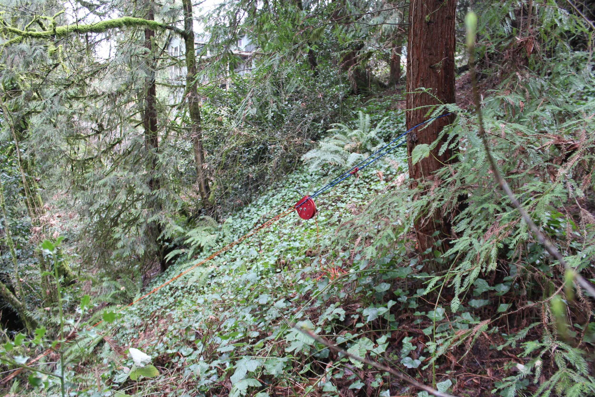 Manual 2 Speed Capstan Winch