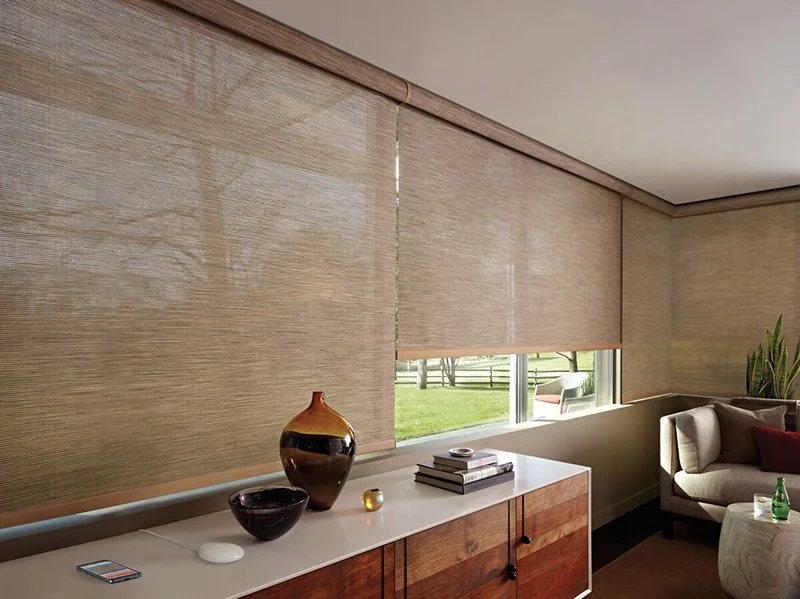 Motorization for Living Rooms from The Blind Guy in Kalispell, Montana (MT)