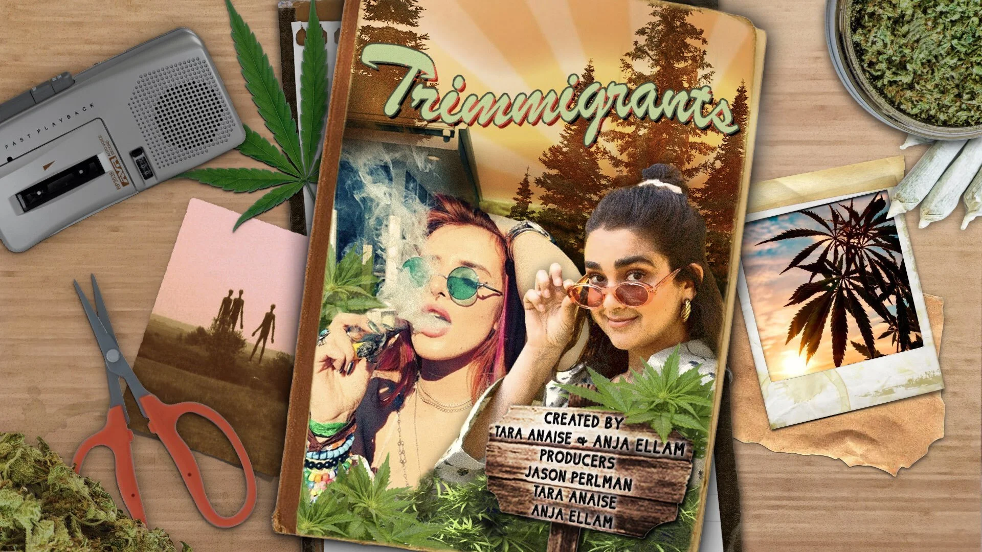 Trimmigrants Pitch Deck