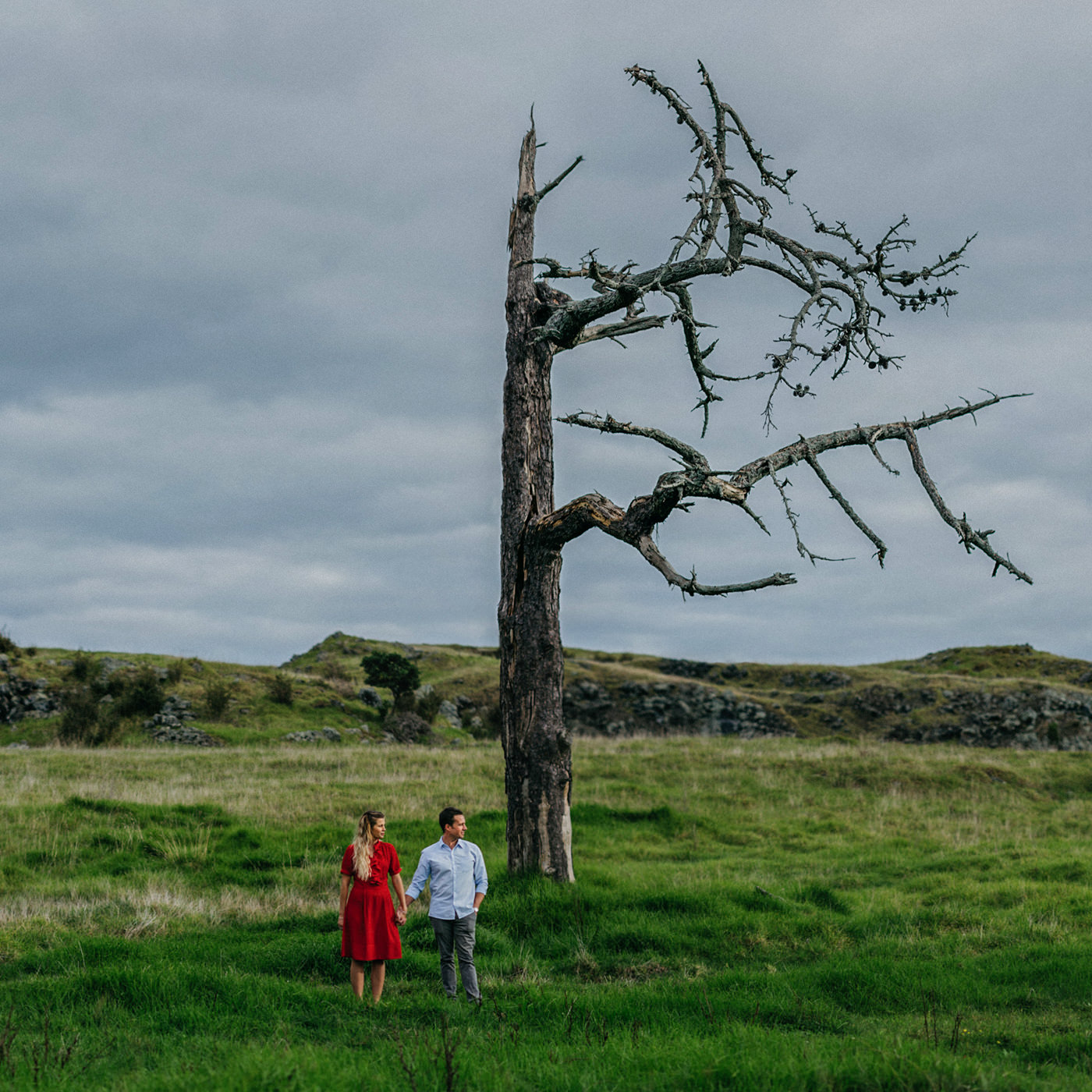 auckland_photographer_otuataua_stonefields_photos