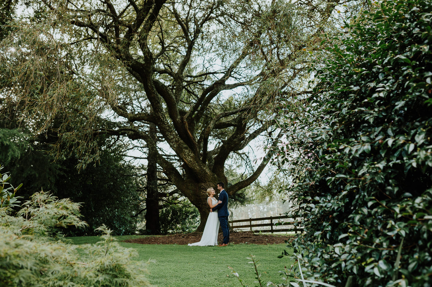 olive_tree_cottage_wedding_tauranga-1120.jpg