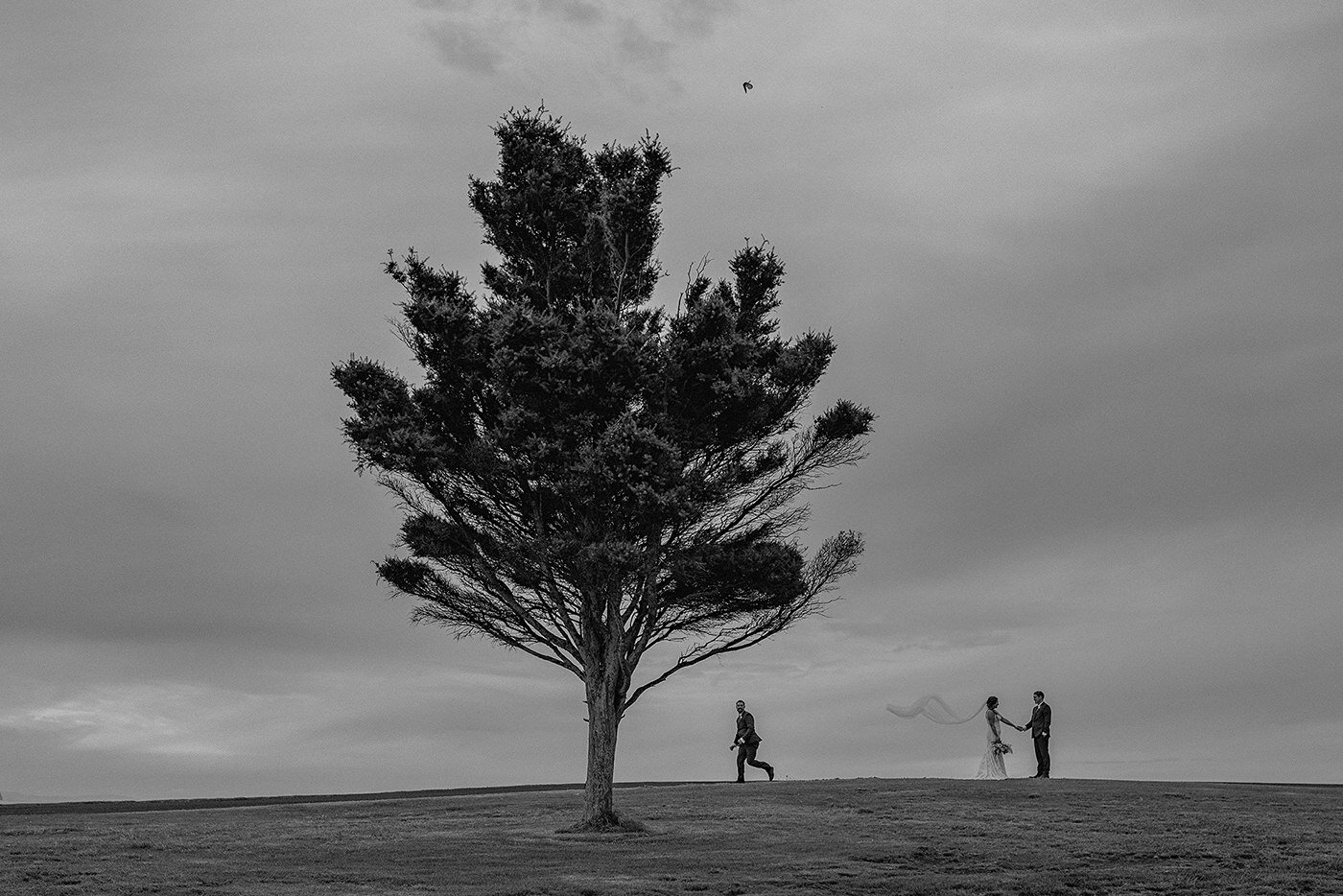 waihi_beach_wedding_photos_00158.jpg