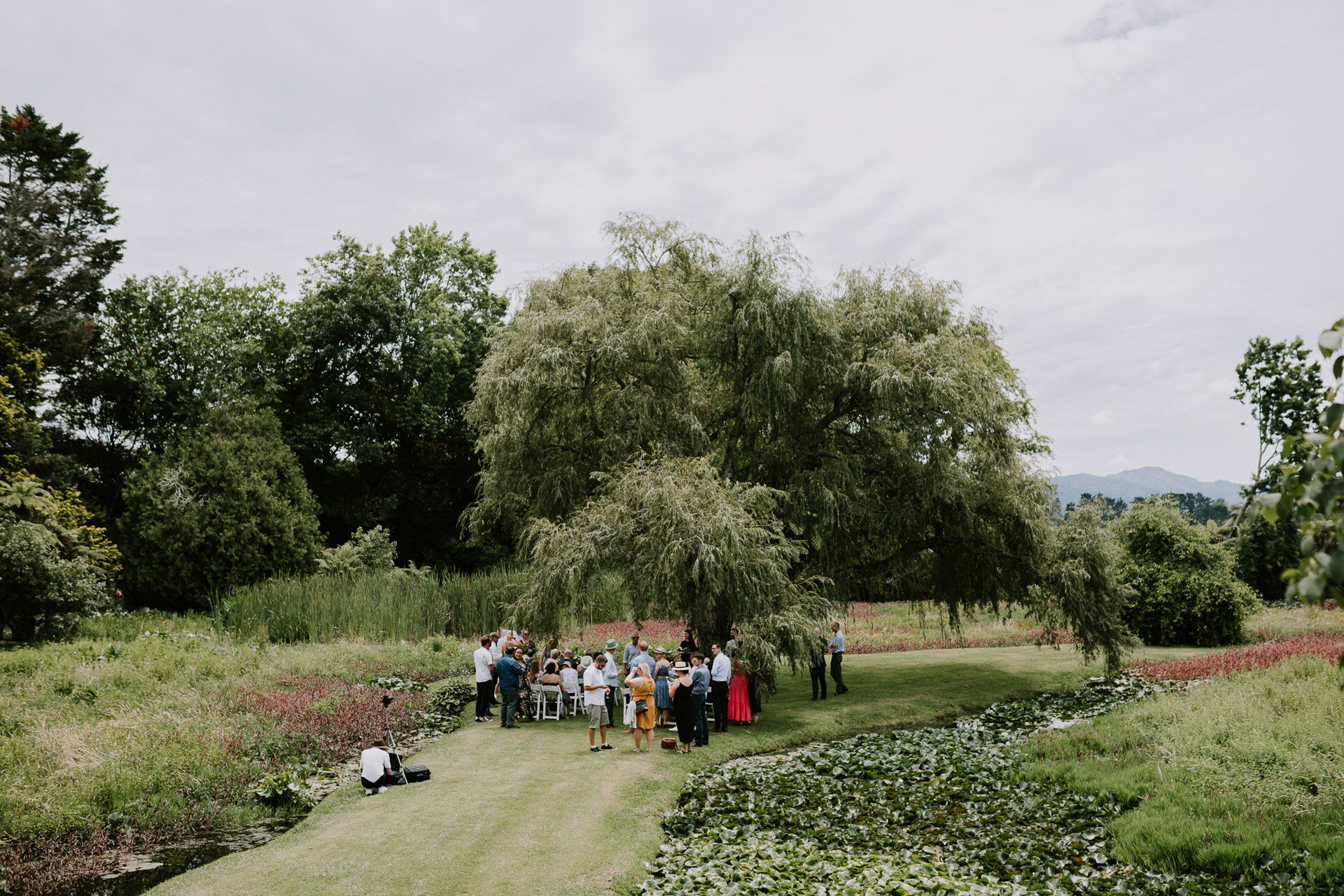 nz_wedding_photographers_waihi_waterlily_gardens_wedding_venue_photos