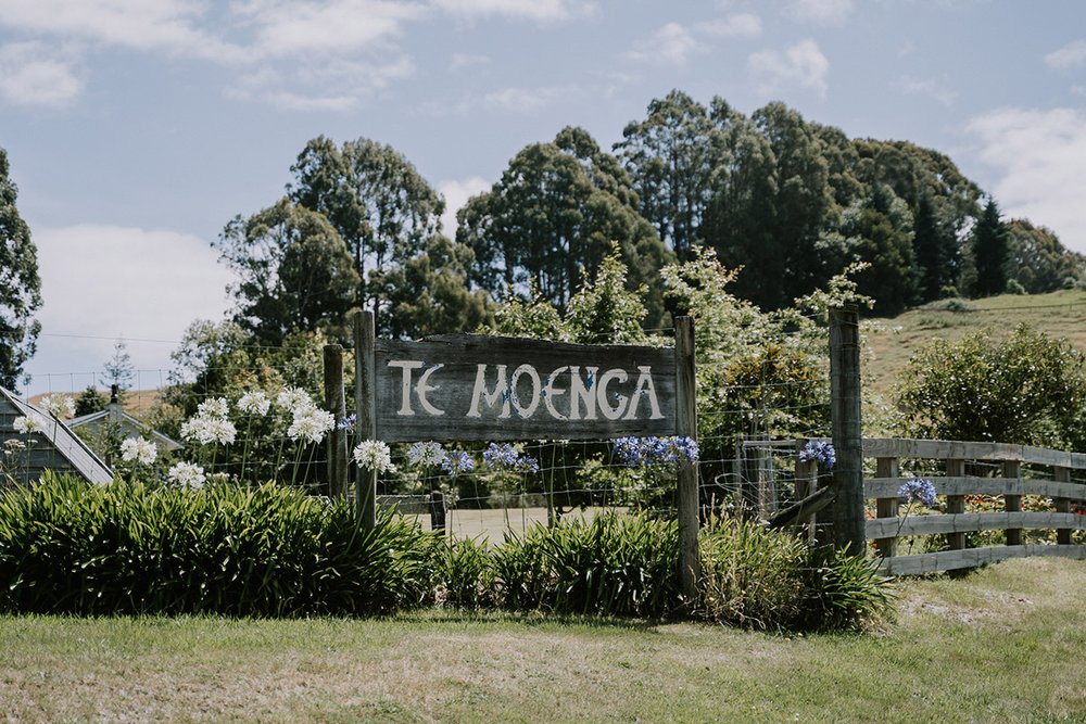 te_moenga_lodge_taupo_acacia_bay_wedding_photos-1000.jpg