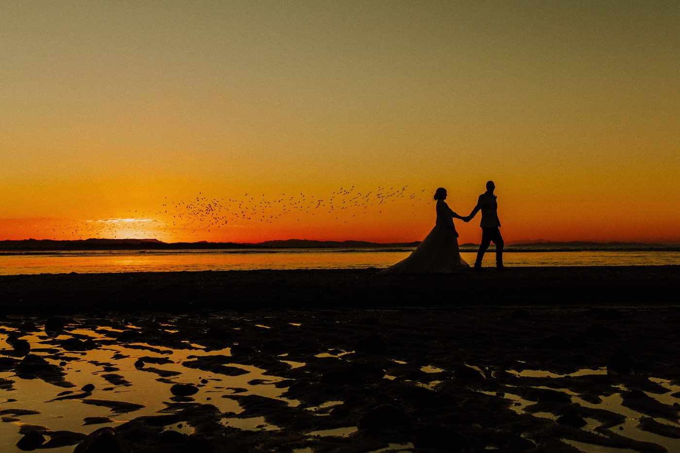 wedding_photographer_tauranga_bird_veil