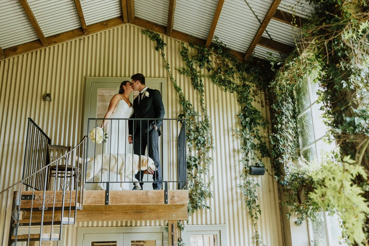 l'orangerie_wedding_venue_photos_tauranga-1113.jpg