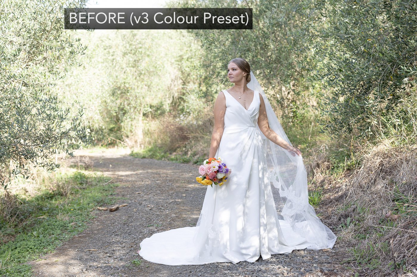 beforev3colour2.jpg