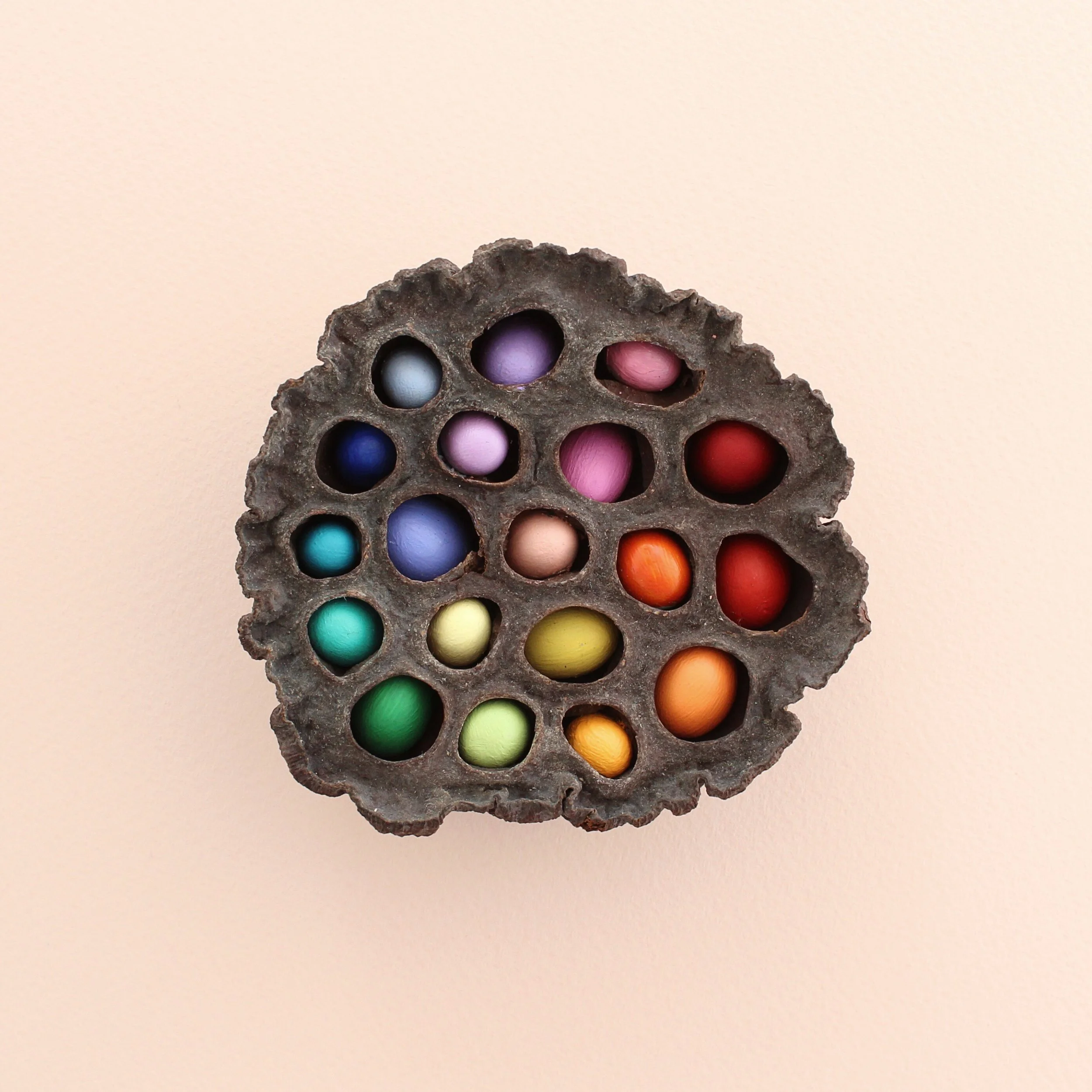 Résultat de recherche d'images pour "Caroline South"