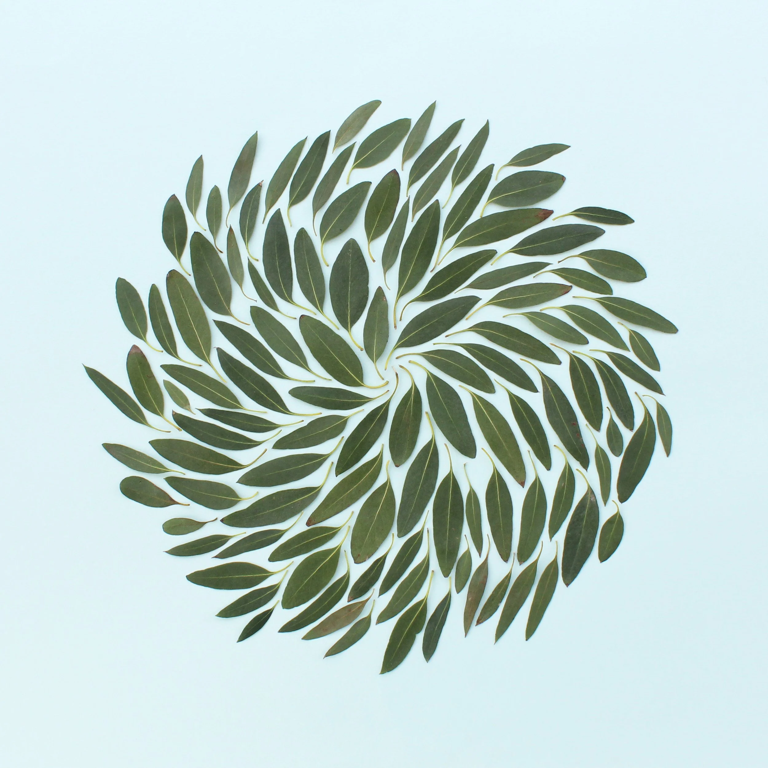 IMG_9520 final edit.JPG