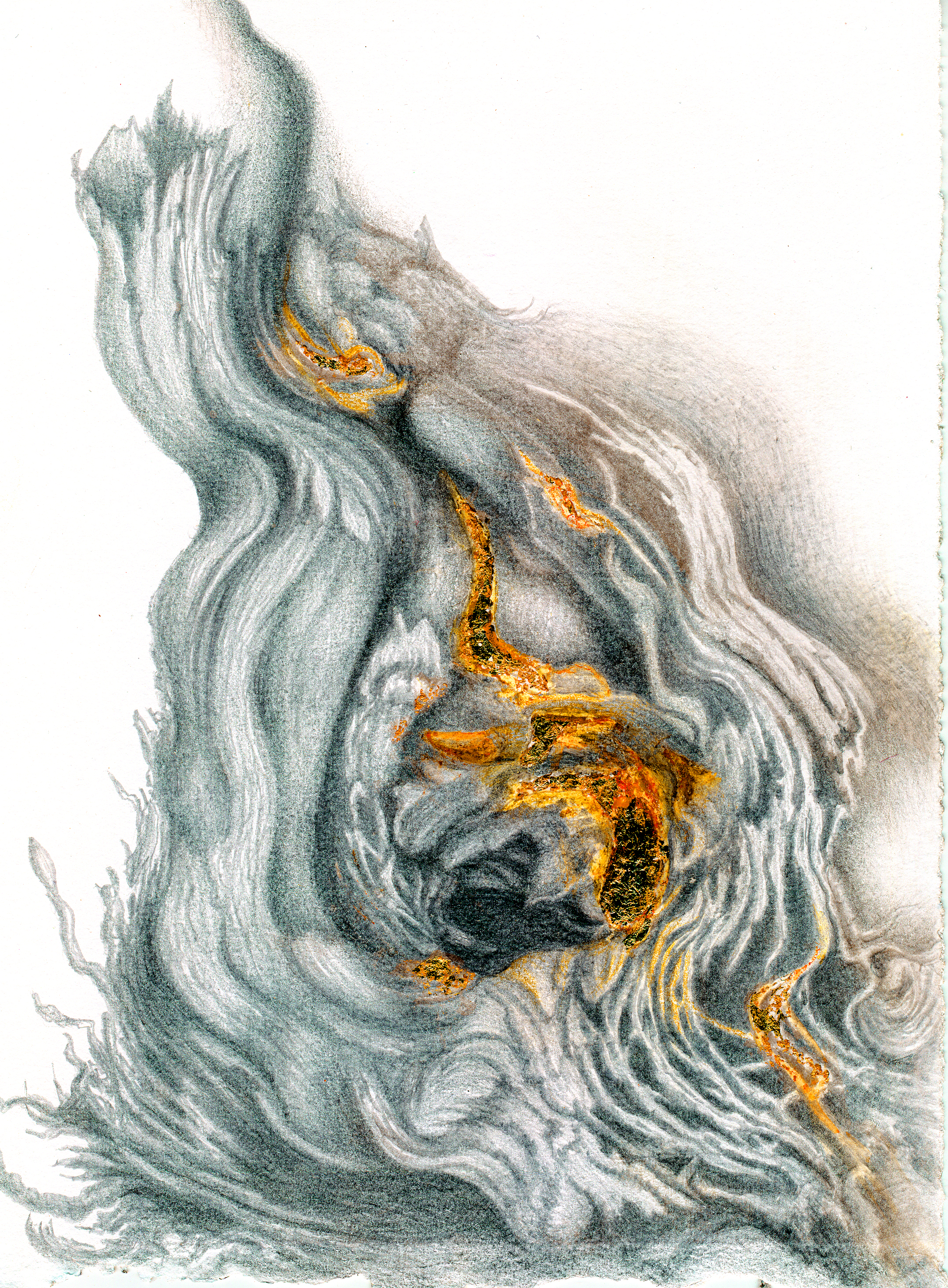 Chablis Gold (Grape Vine)