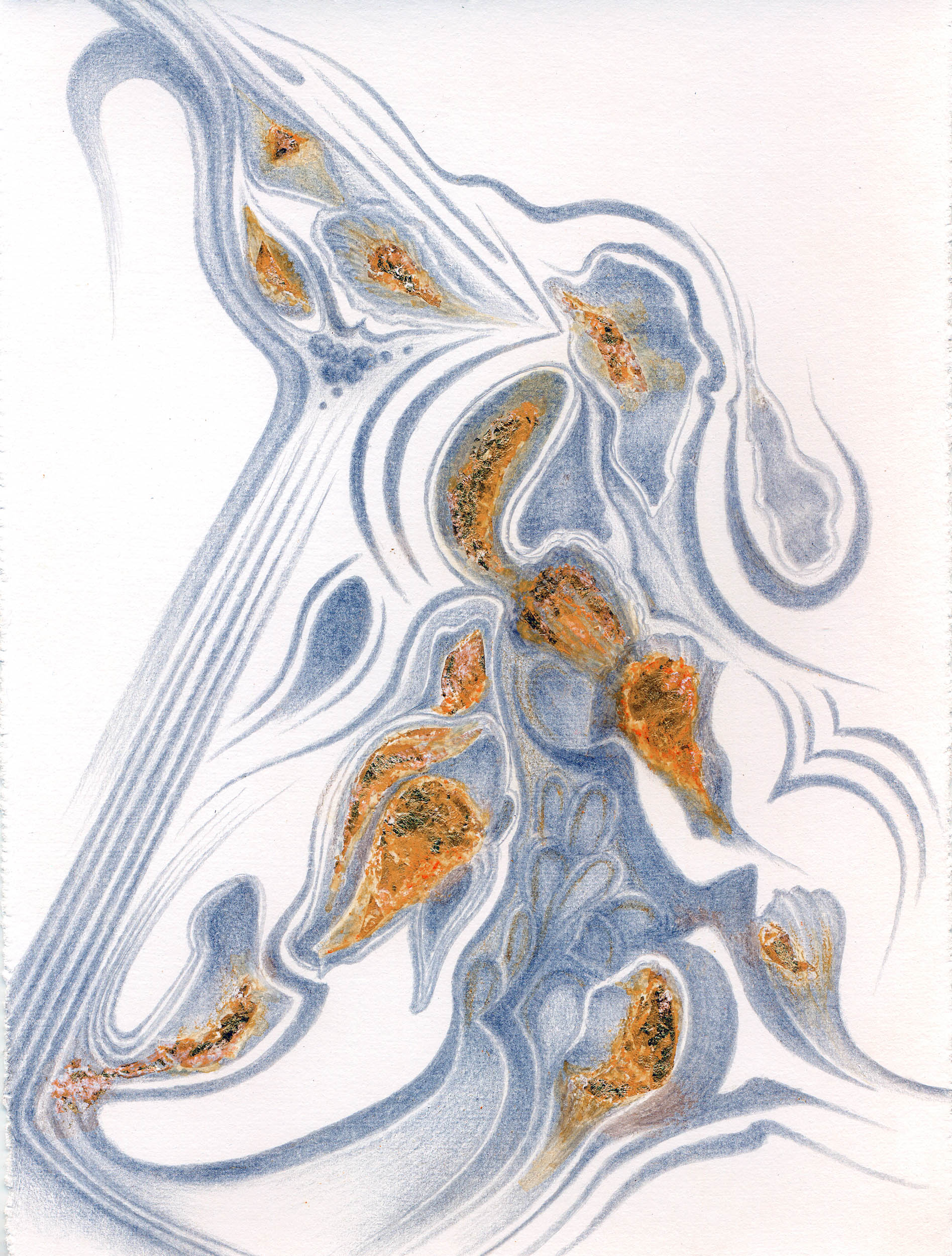 Oyster Fossils, Chablis