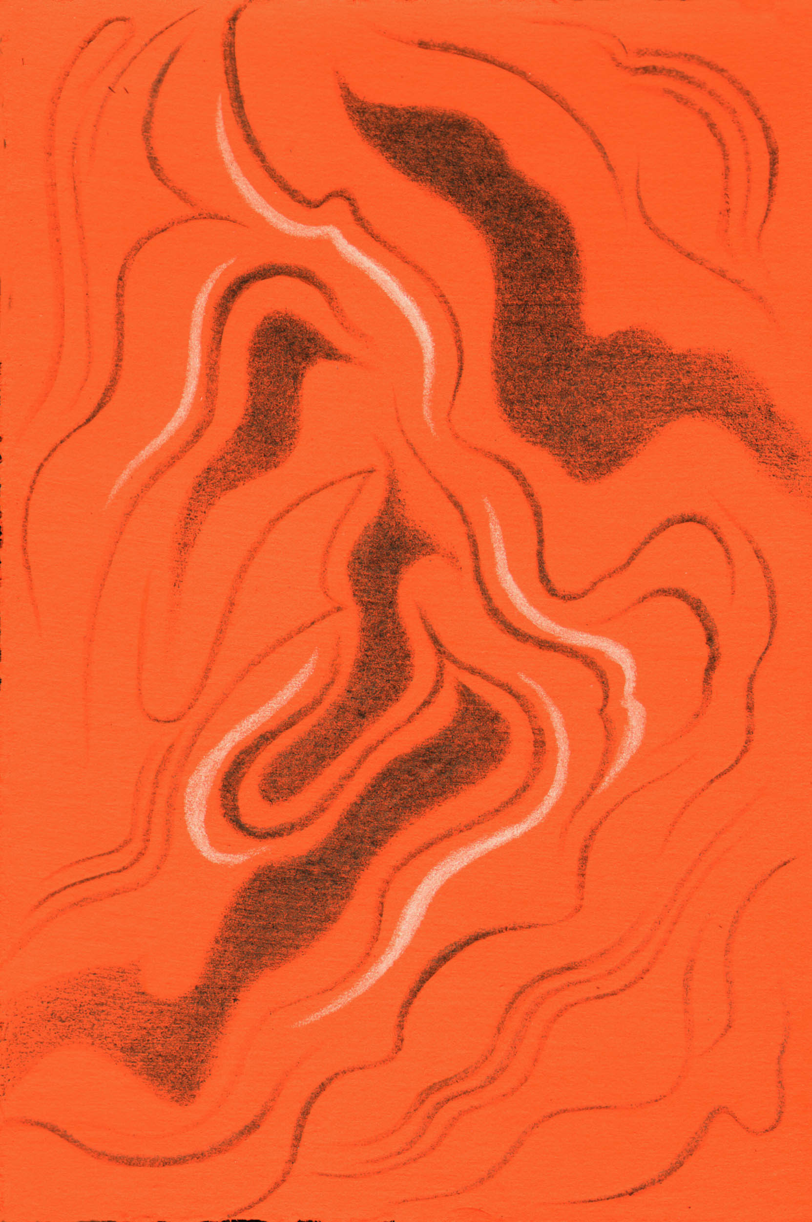 Cedar Burl I, Ashantilly