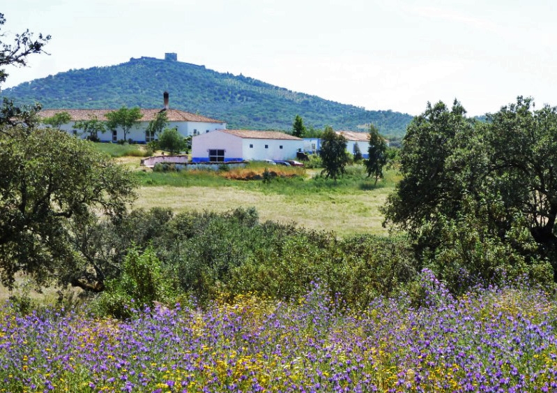 Residency: OBRAS Foundation, Estremoz, Portugal
