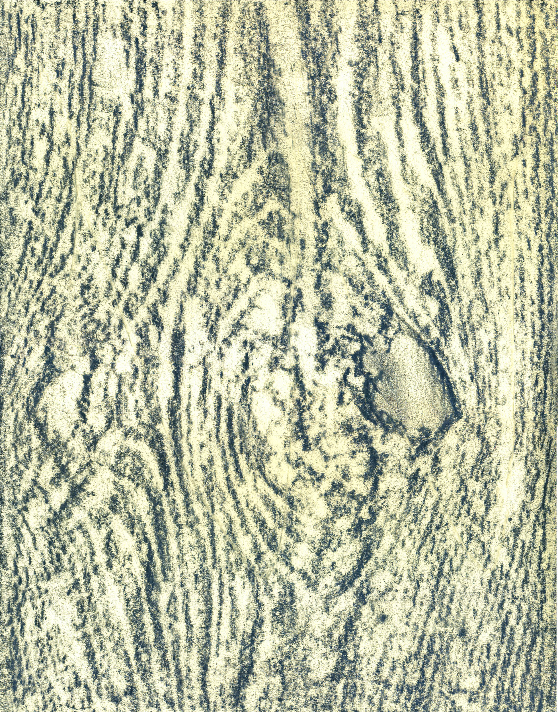 Portrait of a Studio, Caylus I