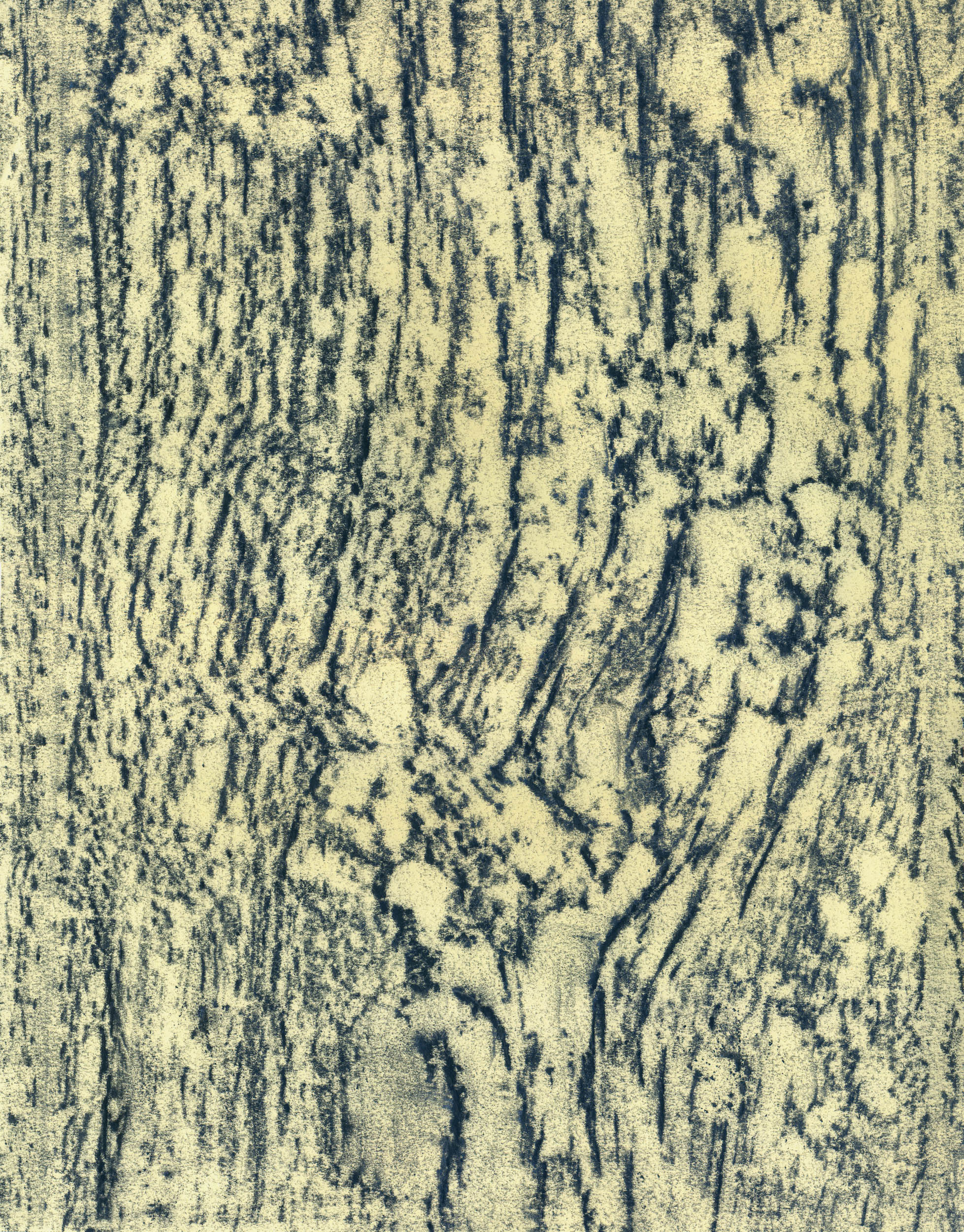 Portrait of a Studio, Caylus II