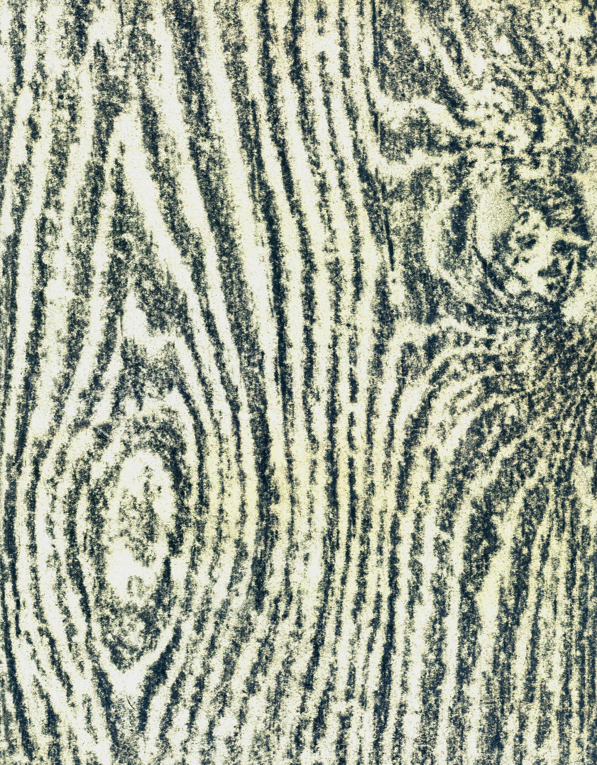 Portrait of a Studio, Caylus V