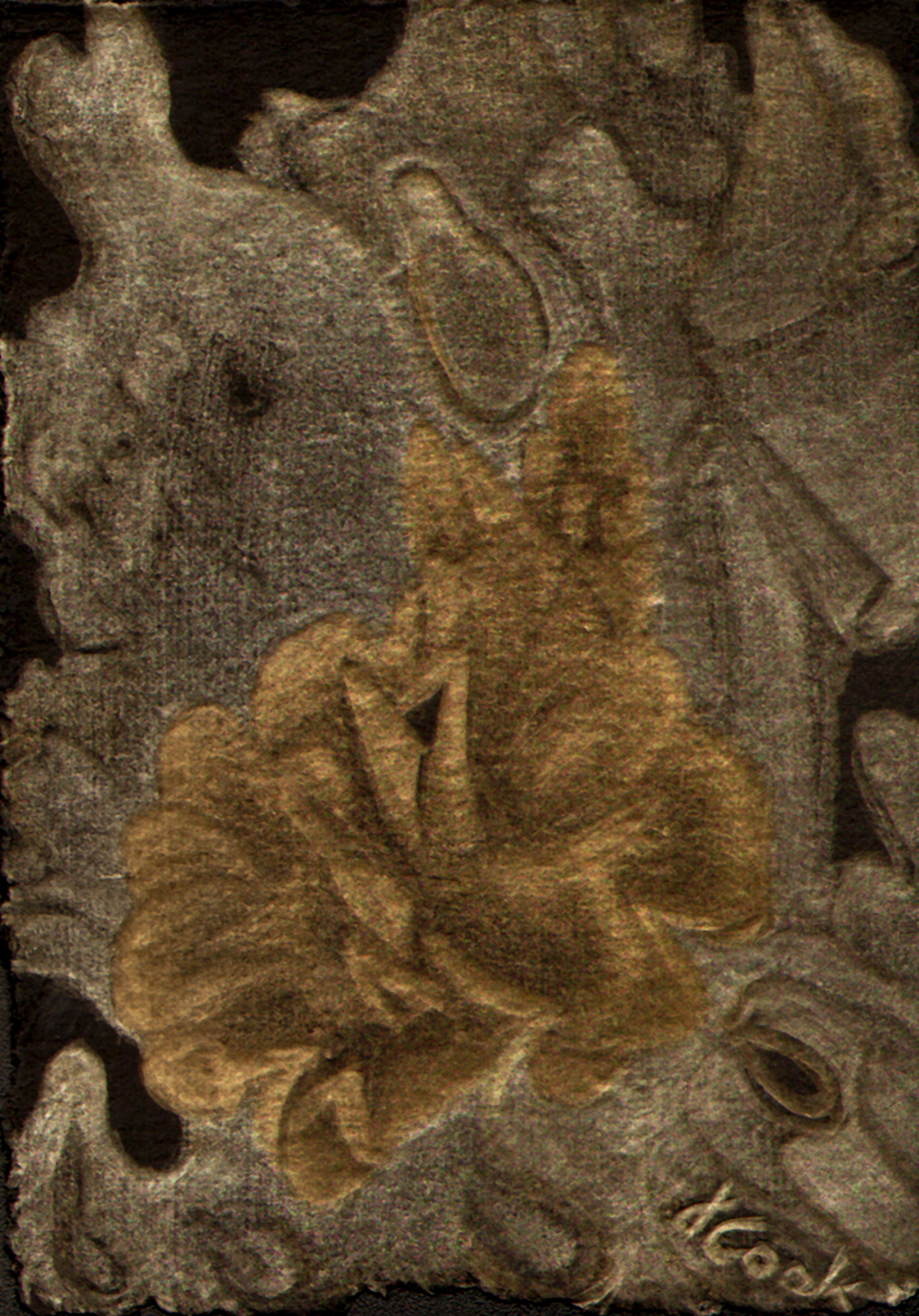 Symbiosis, Lichen and Pine