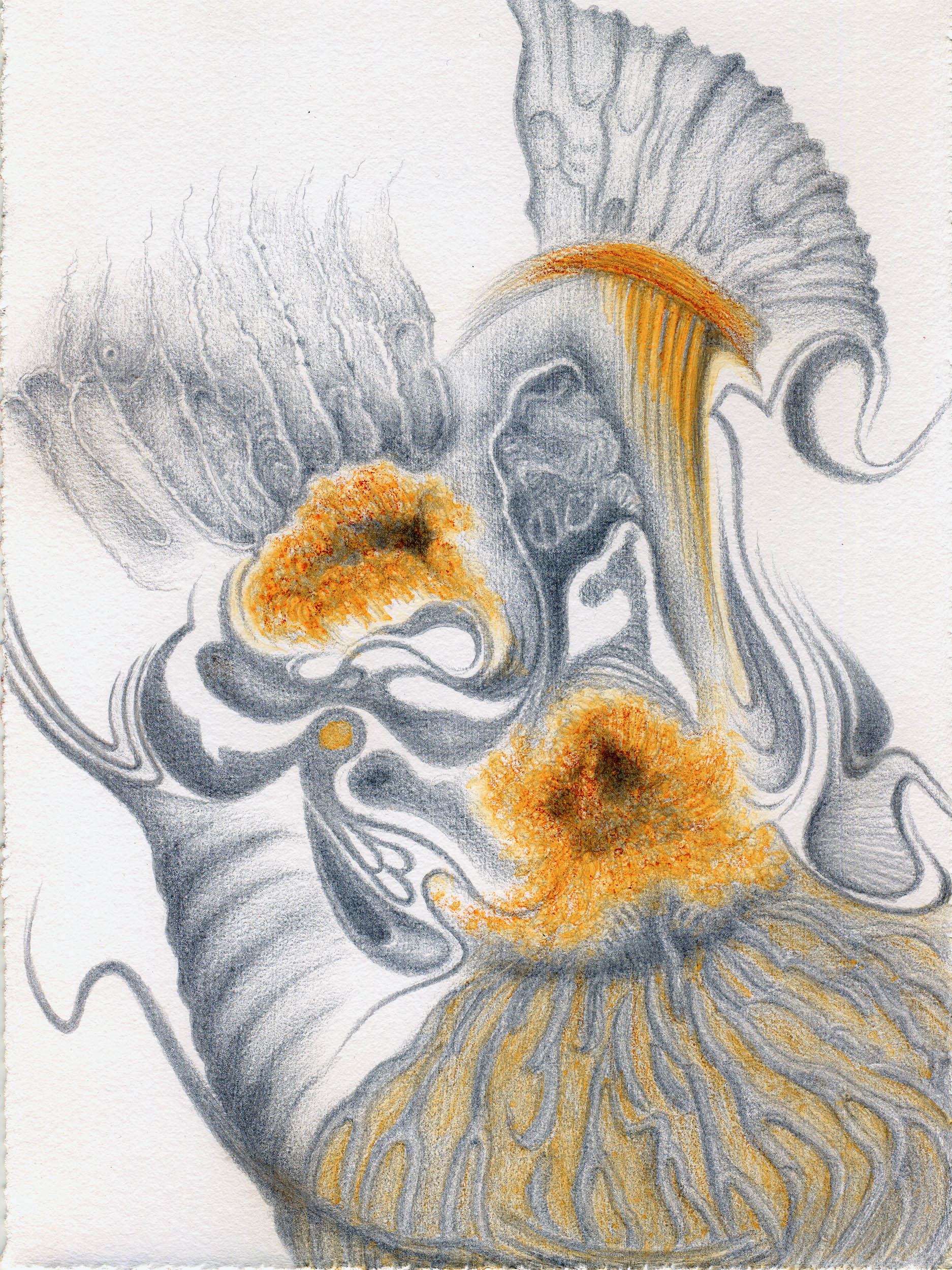 Ammonites de Bourgogne  svpt-wc  G-1045-249.jpg