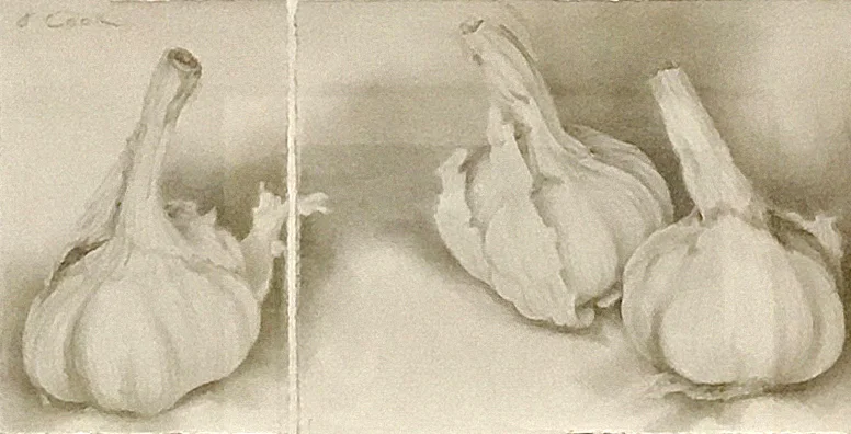 Garlic Discussion I & II, Jeannine Cook, silverpoint