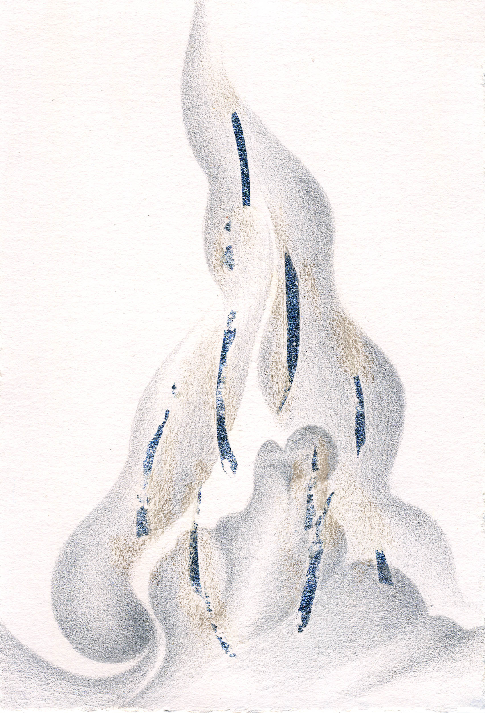 The Snail's Trail (Plane Tree Bark)