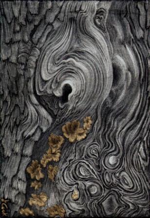 Cedar Swirls, gold and silverpoint, Jeannine Cook