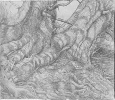 Sunlit Fugue, silverpoint