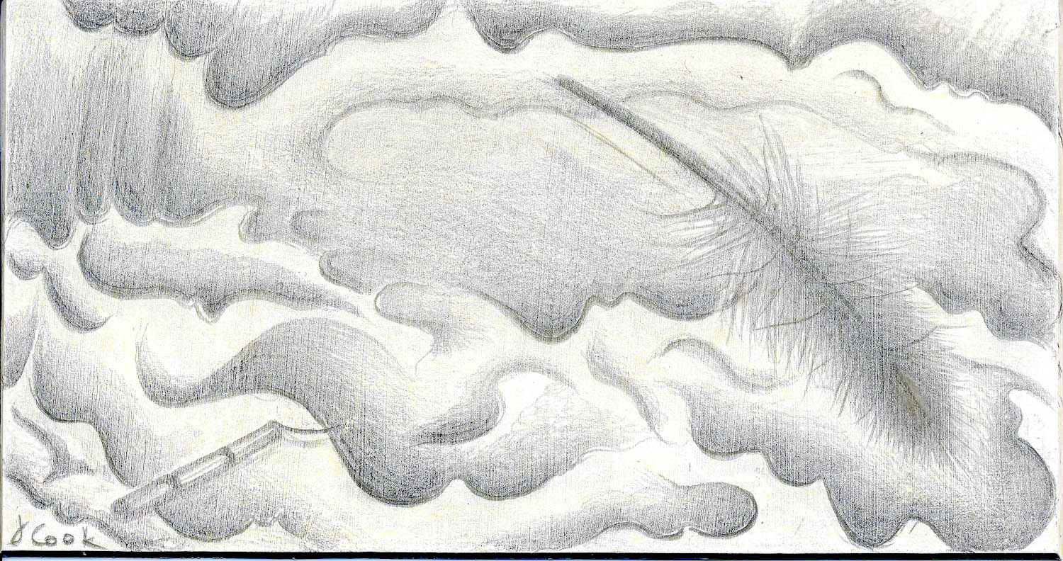 Traces of the Tide, Sapelo