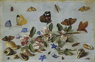 Butterflies and other Insects, 1661, oil on copper, 19.1 x 28.9 cm. Courtesy of the Fitzwilliam Museum