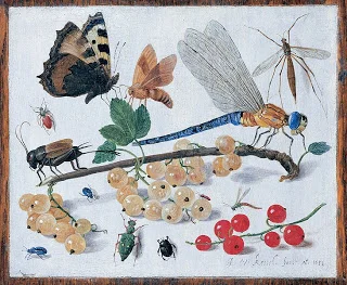 Jan van Kessel, Drawings of insects, c. 1653, Oil on Copper