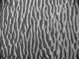 Patterns in the Sand