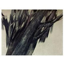 In the Tree Series, S. Sepehri