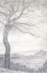 Overlooking Ibiza , silverpoint, Jeannine Cook artist