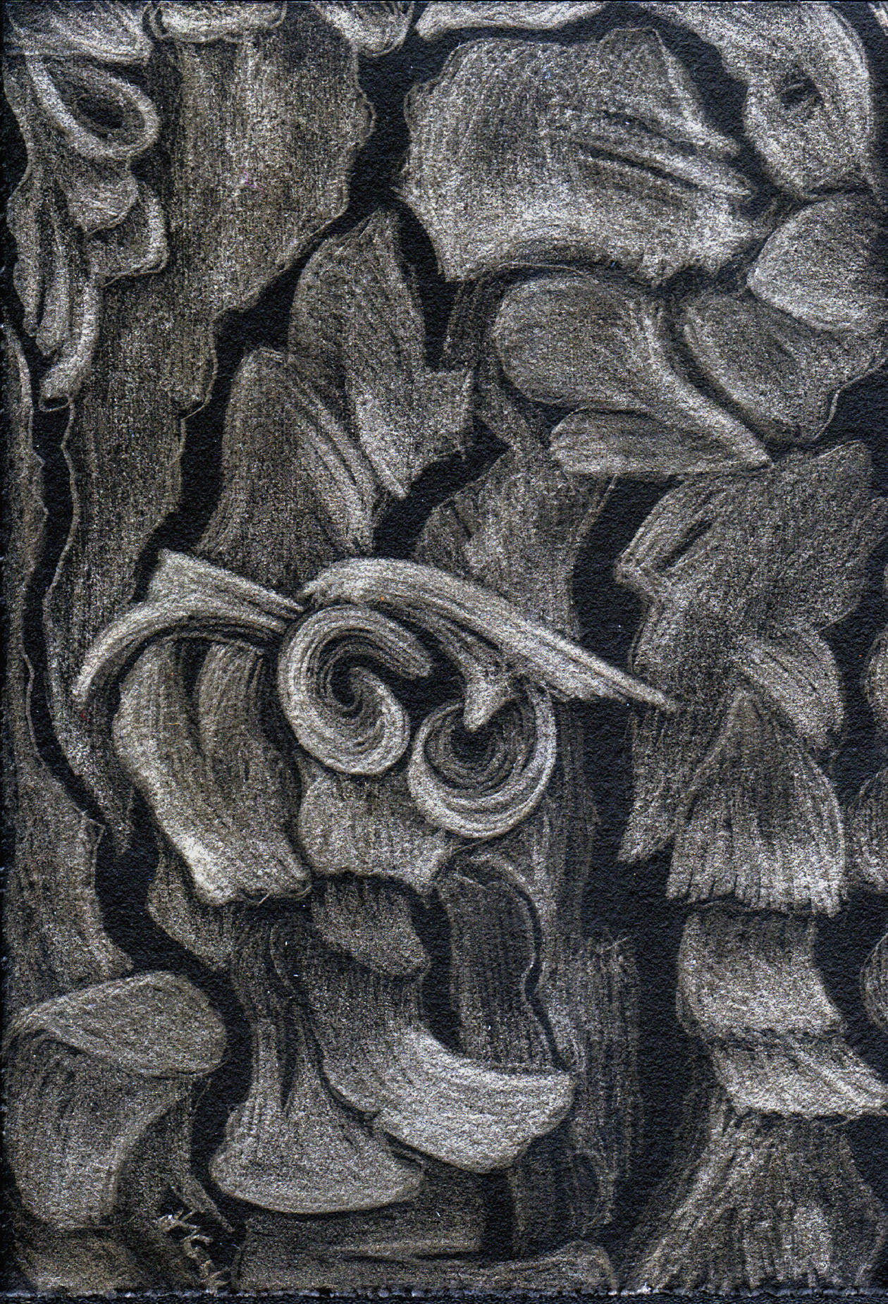 Ariadne's Thread II - pine tree bark, silverpoint on black, Jeannine Cook artist