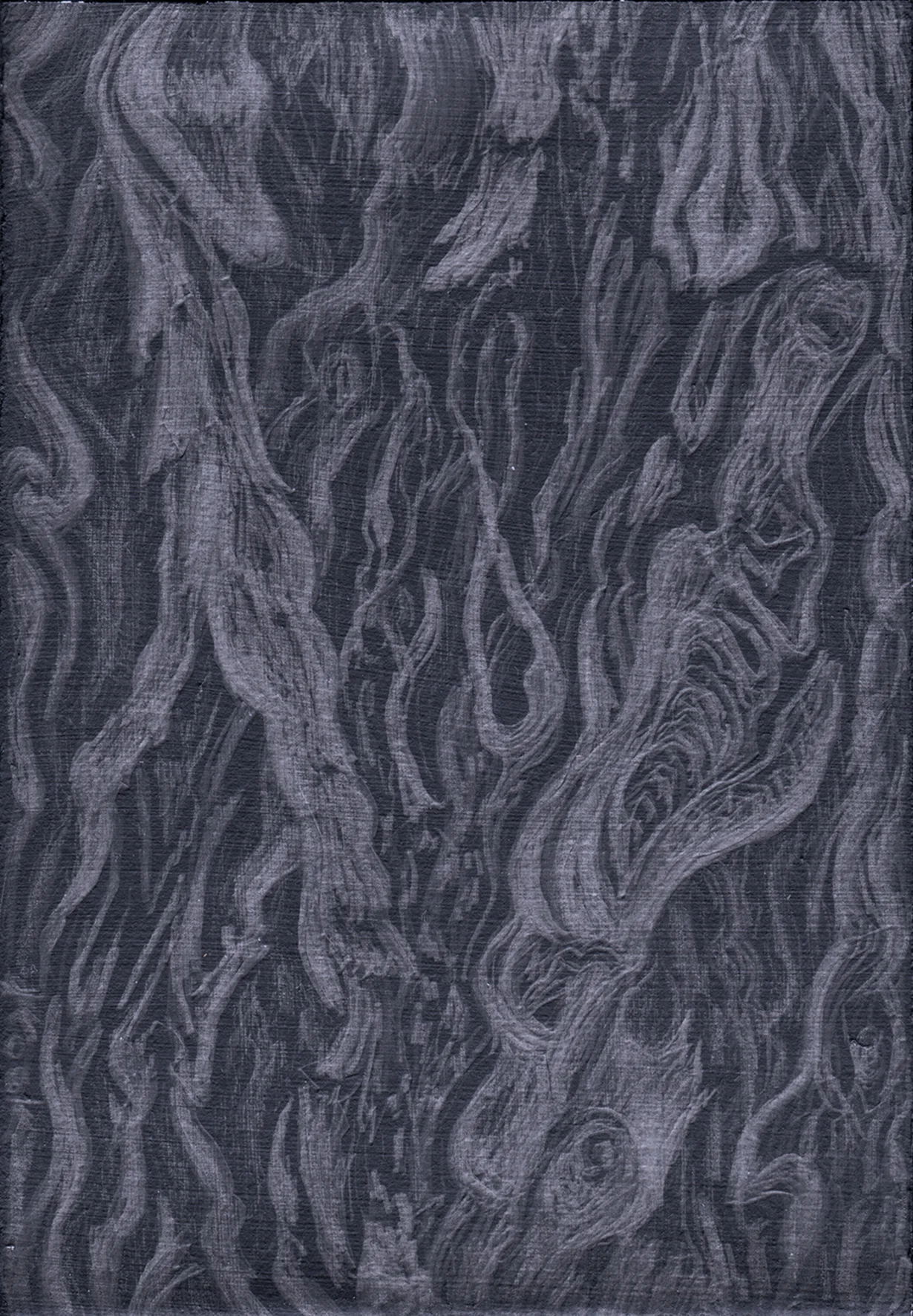 Apoyos I - coffee tree bark - silverpoint, Jeanine Cook artist