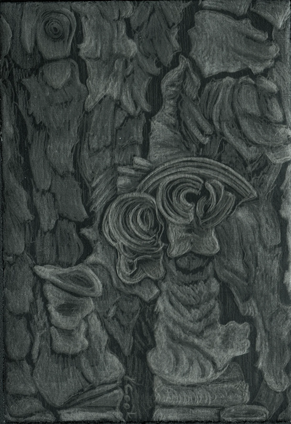 Apoyos IV - Pine tree bark - silverpoint. Jeannine Cook artist