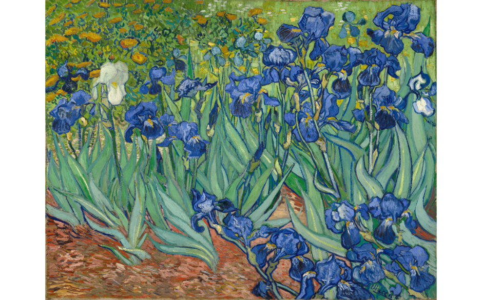 Irises, Vincent van Gogh, 1889, oil on canvas, (Image courtesy of the Getty Center)