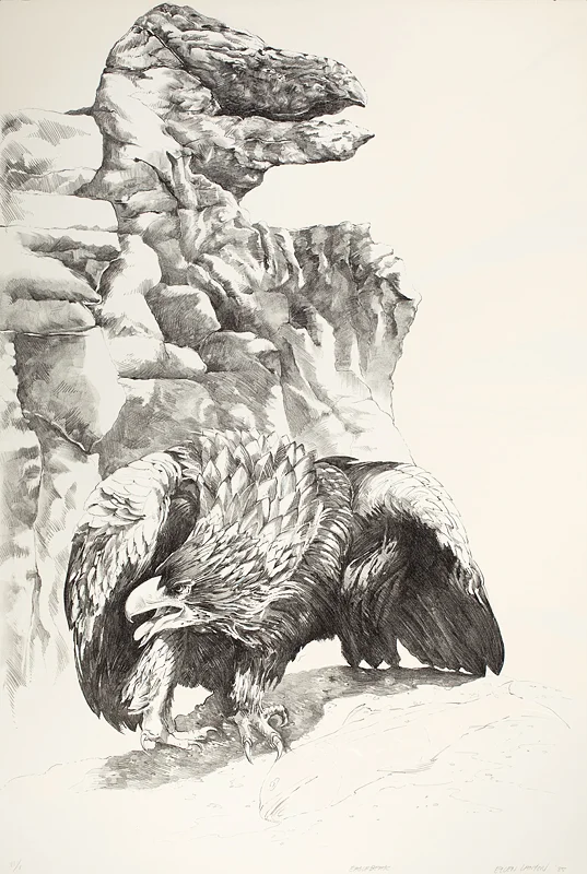 Eagle Beak, Ellen Lanyon, 1985. Lithograph, 44 ½ x 30 ¼ inches. Collection of the Madison Museum of Contemporary Art.
