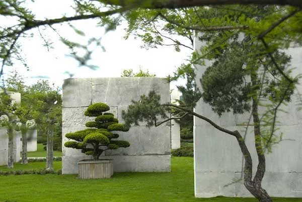 The Tree Museum